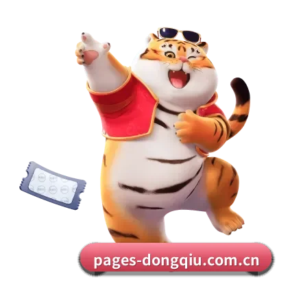 懂球体育 APP